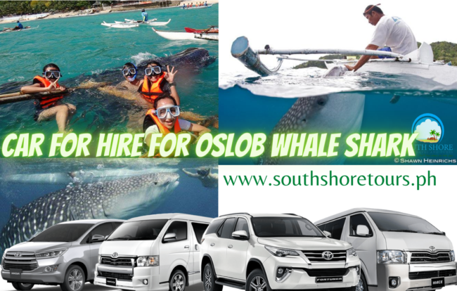 Car for Hire to Oslob Whale shark Watching